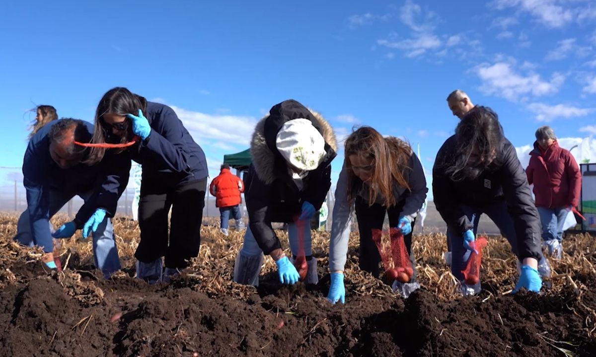 Semillero más austral de Chile: soberanía y seguridad alimentaria