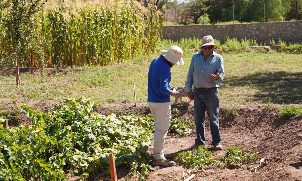 Programa ATF de SQM Litio comenzó la toma de muestras de suelos de terrenos de agricultores de San Pedro de Atacama
