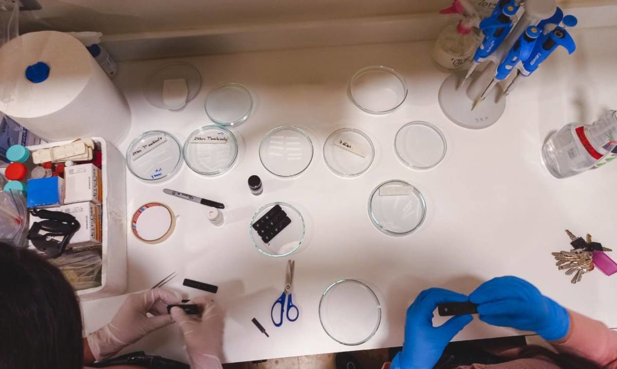 Crean microdispositivo que identifica peligrosos tóxicos de pesticidas del agro