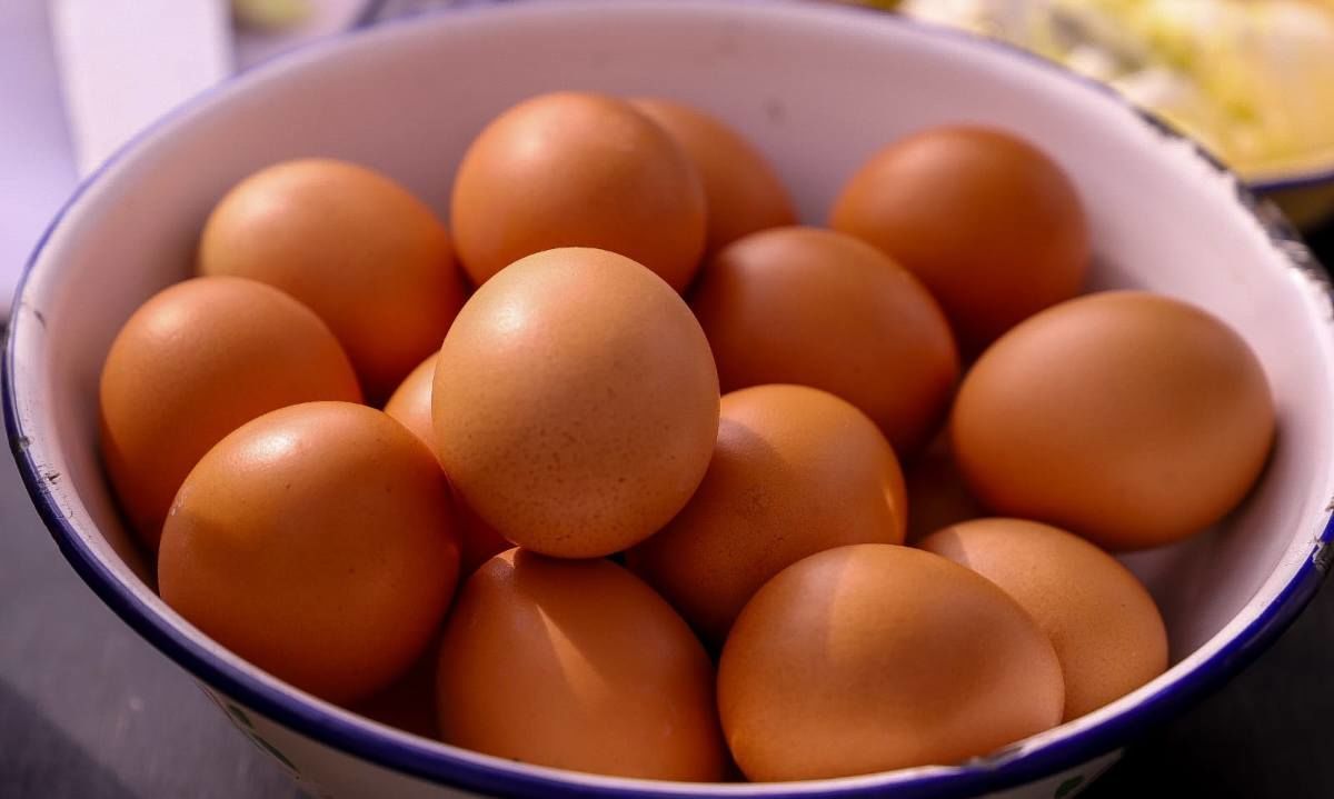 Ministerio de Agricultura e industria anuncian avance en la producción de huevos durante el primer trimestre de 2024