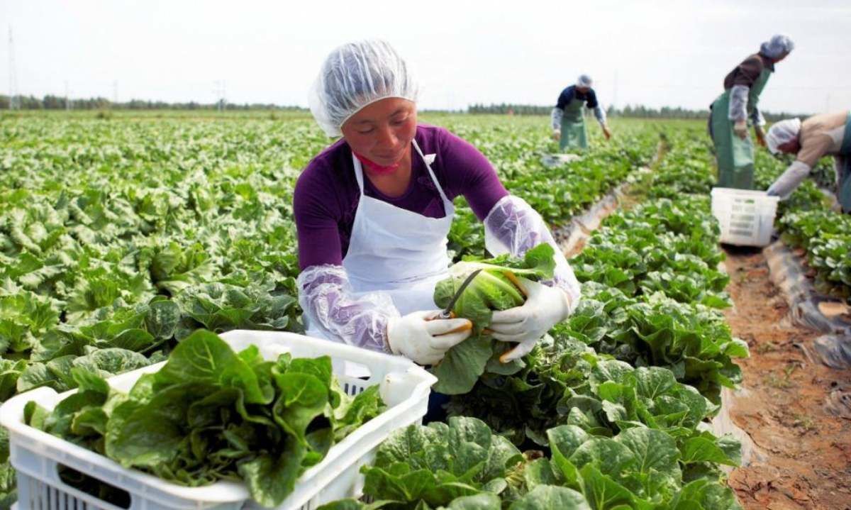 Ministro Valenzuela da cuenta de buen avance de la temporada de exportaciones agrícolas