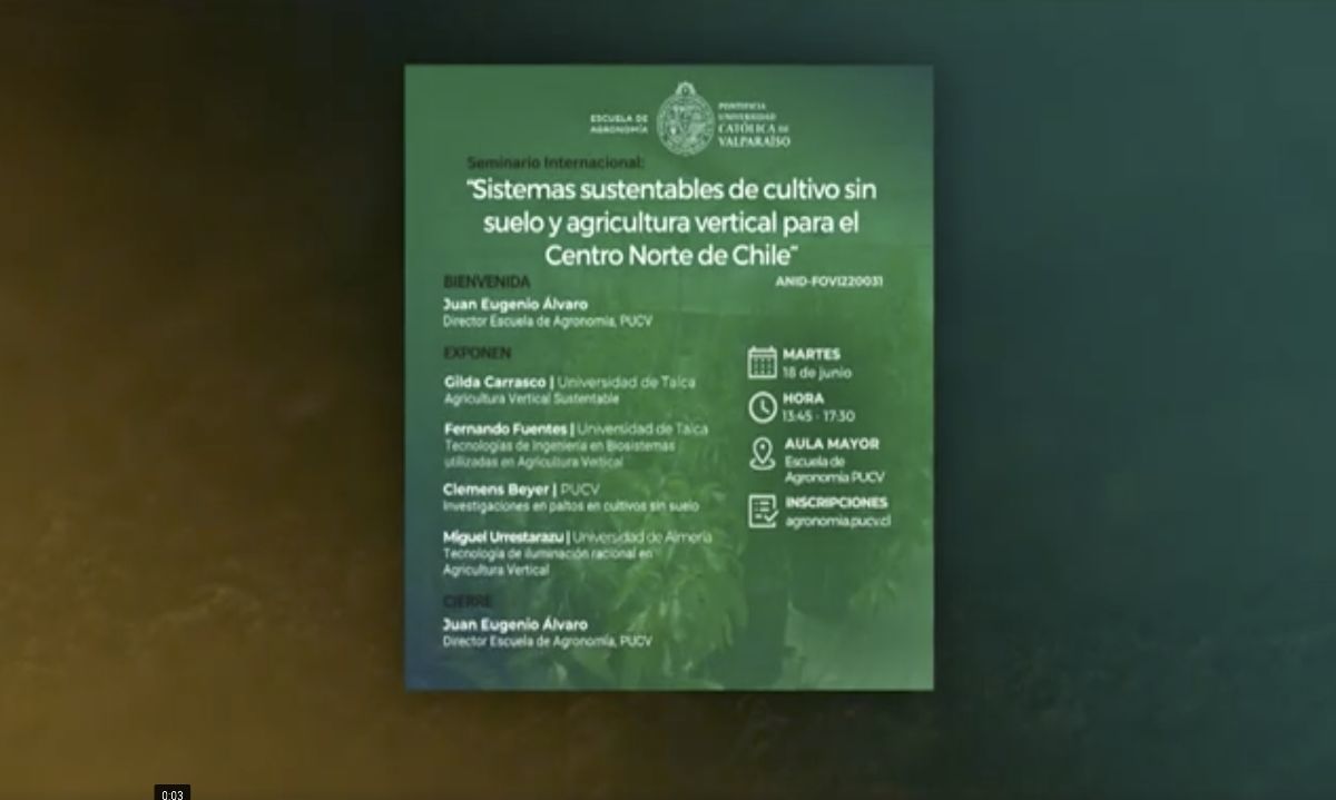 Sistemas sustentables de cultivo sin suelo y agricultura vertical 