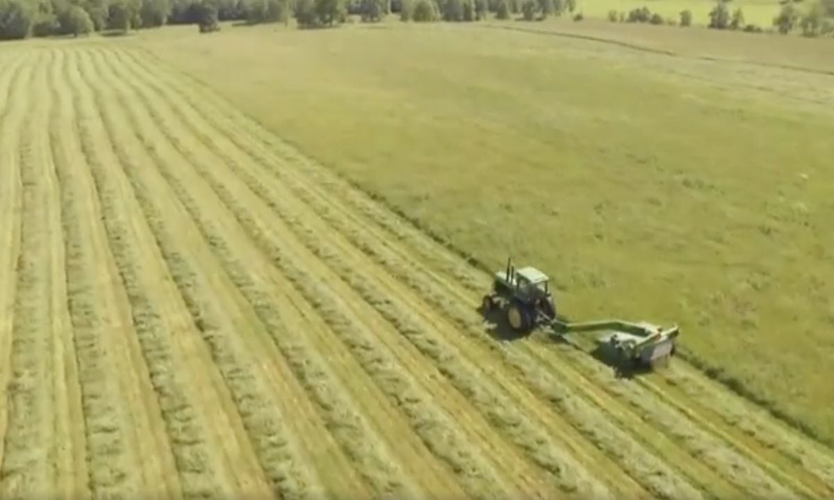 Curso virtual sobre sistemas agroalimentarios