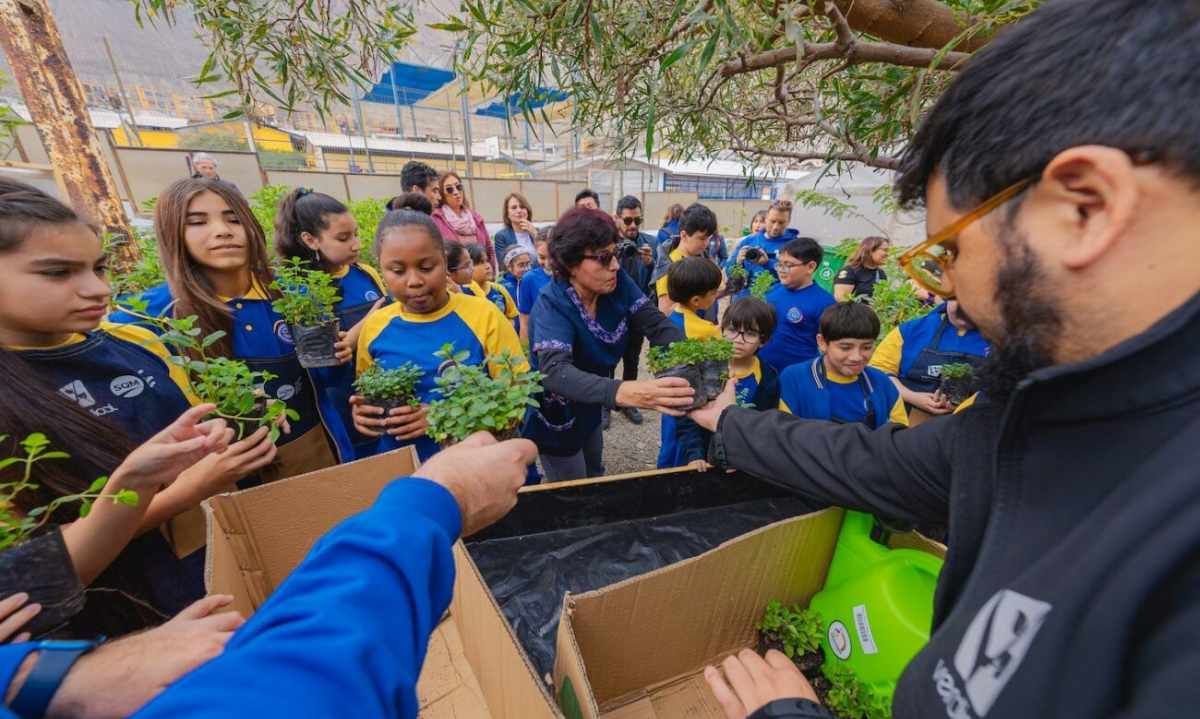 Más de 500 personas participarán de la nueva versión del Programa Ambiental en Tocopilla