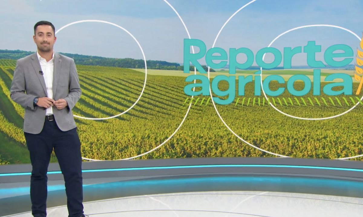 T01 C16: "Transferencia tecnológica para pequeños agricultores"