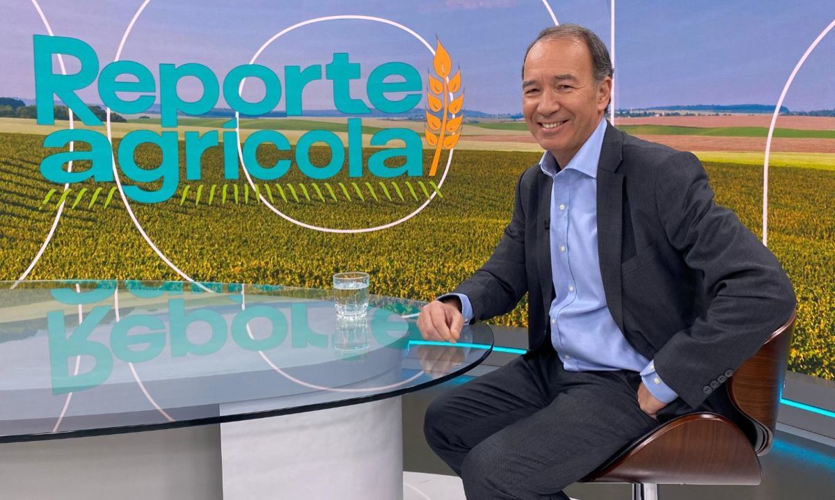 Frutas de Chile: Innovación y calidad impulsan el liderazgo exportador en mercados globales