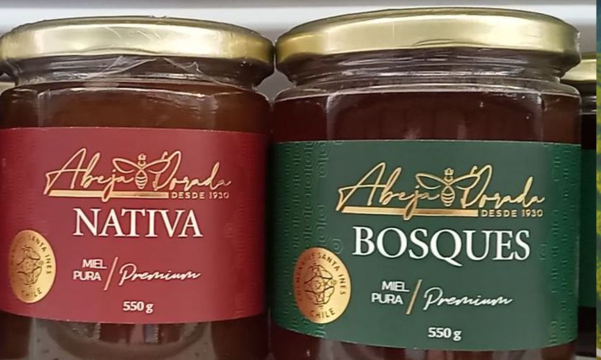 Apicultura responsable: Un modelo que armoniza producción de miel 
