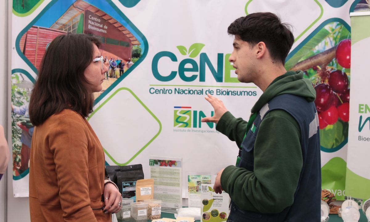 Tendencias en control biológico y bioinsumos destacaron en la feria tecnológica del INIA Quilamapu 