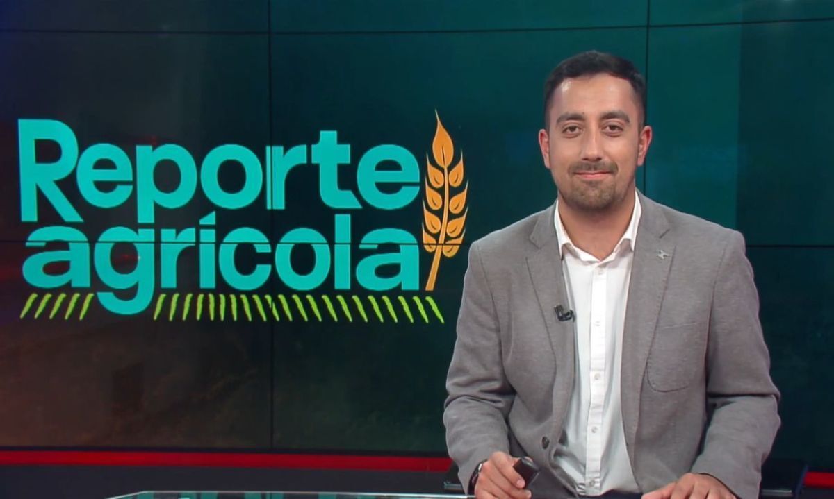 T01 C35: Brecha de género y sustentabilidad en el agro