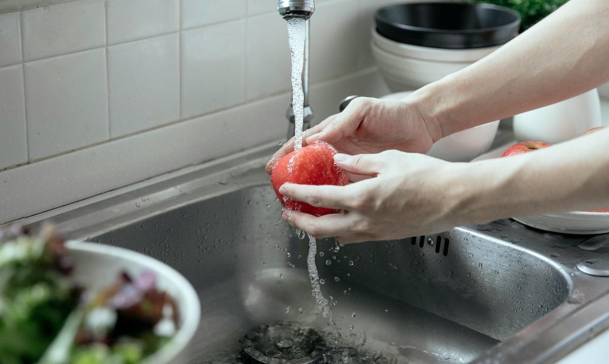 ¿Qué es la inocuidad alimentaria y cómo se hace efectiva?