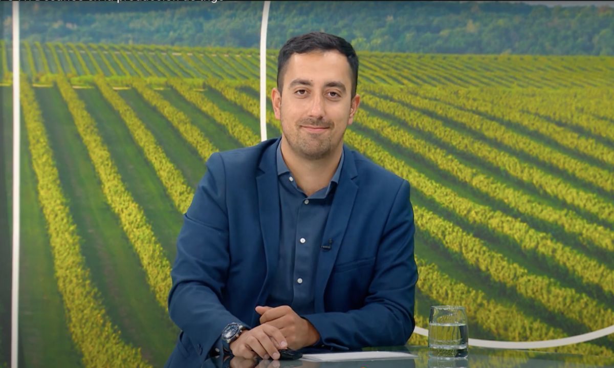 T01 C41: Desafíos en la producción de trigo