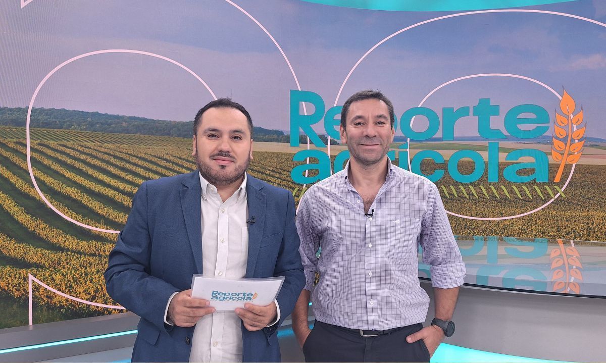 Biotecnología agrícola reduce costos y tiempos en desarrollo de nuevas variedades en Chile