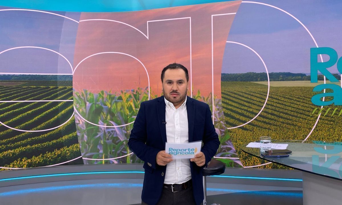 C06 T02: Innovación alimentaria