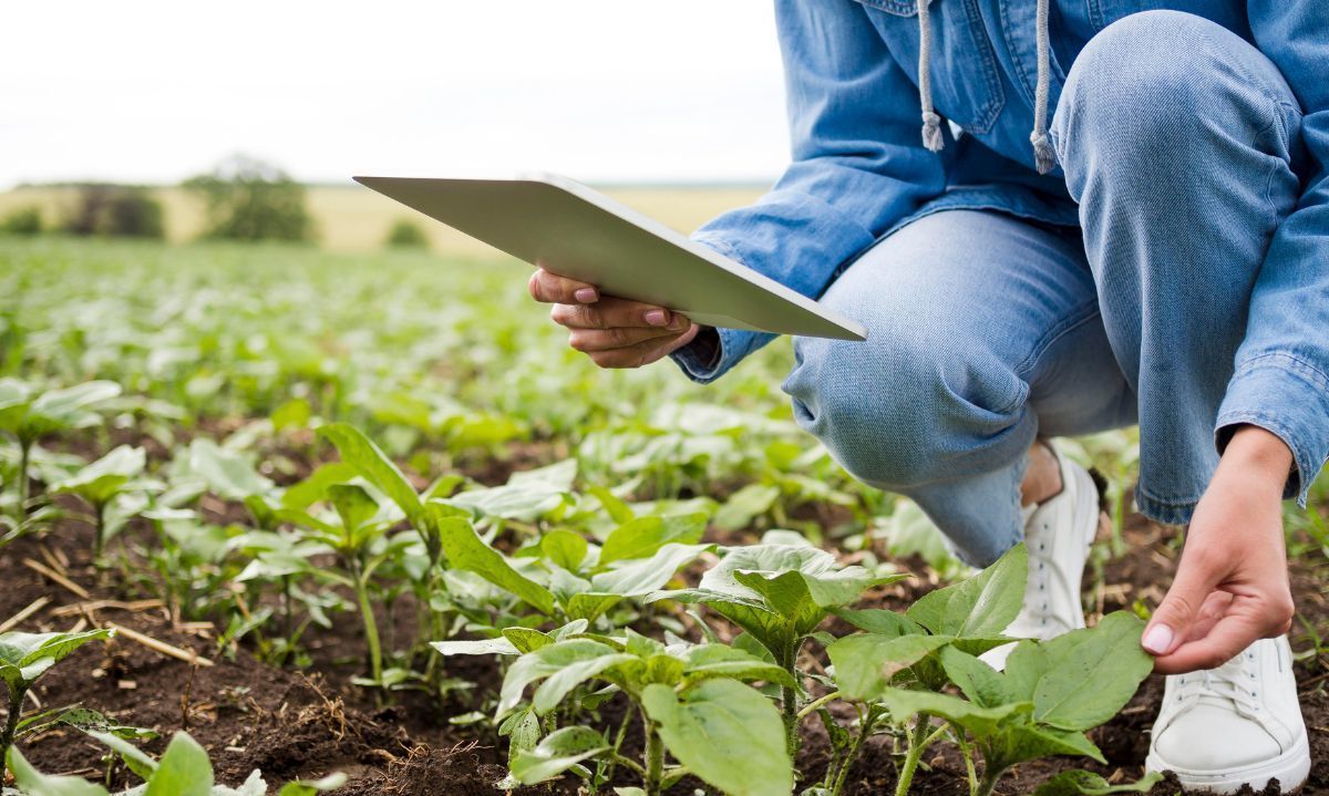 Más de mil agricultores en O'Higgins se adaptan al cambio climático gracias a un proyecto sostenible