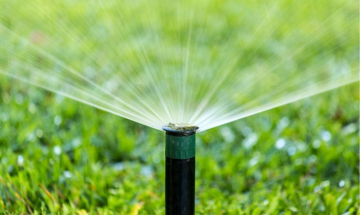 Investigadores prueban innovador sistema de riego inteligente que optimiza el uso del agua