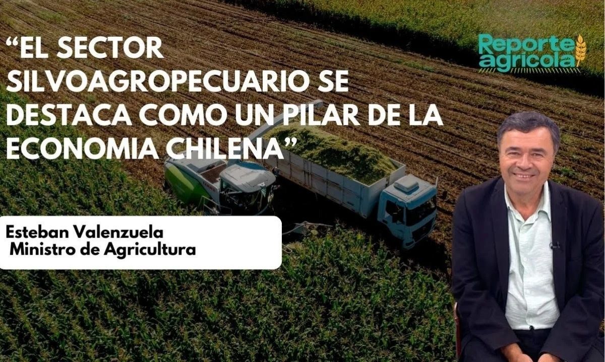 Entrevista a Esteban Valenzuela: "El sector silvoagropecuario se destaca como un pilar de la economía moderna"