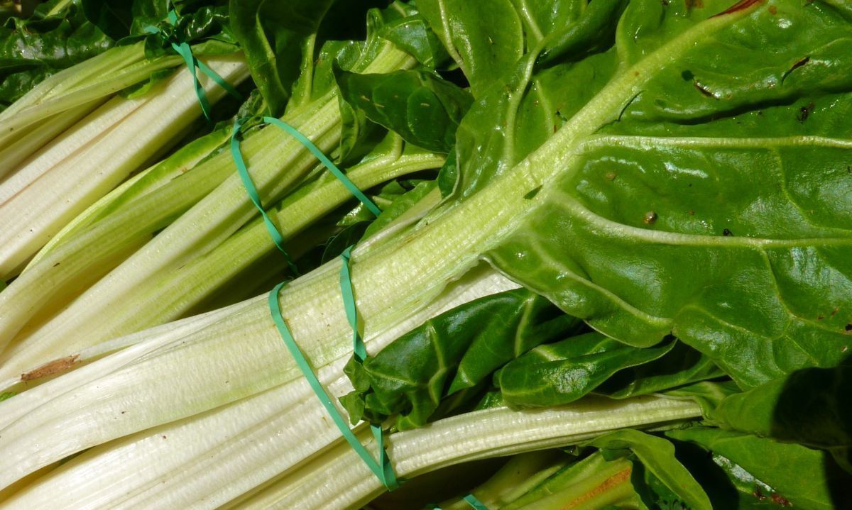Crean nuevo alimentos a partir de residuos vegetales